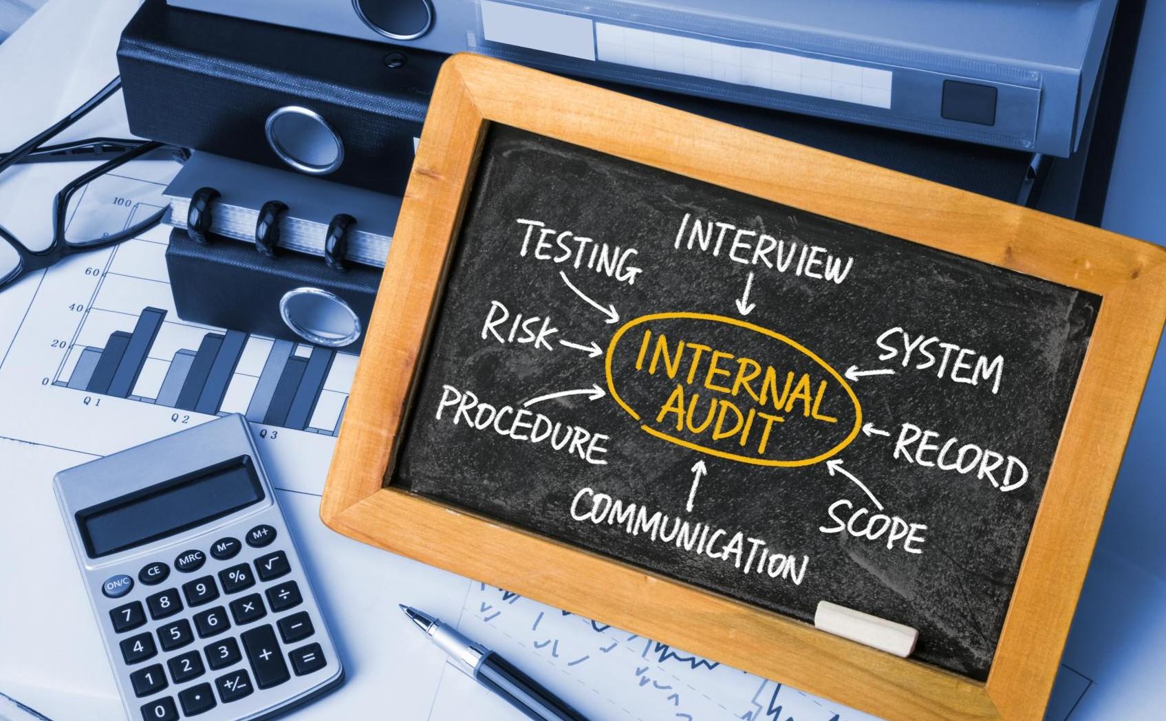 Professional Internal Audit Services in ACT