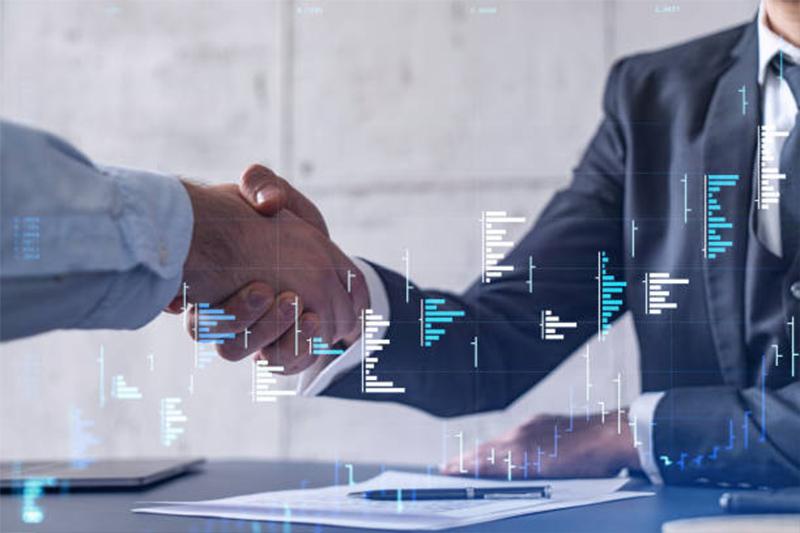 Business Management Consulting Services in New Zealand